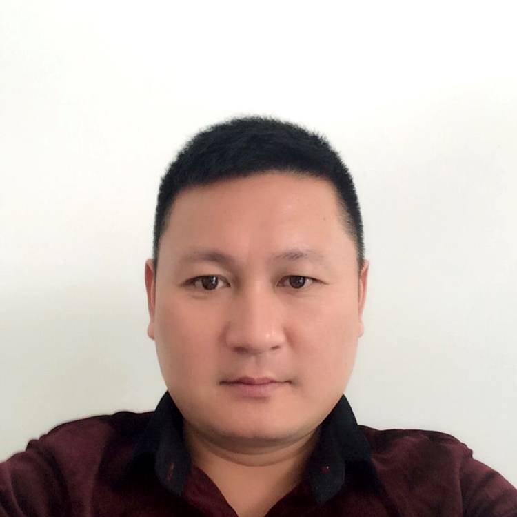 矮小小蝴蝶的照片