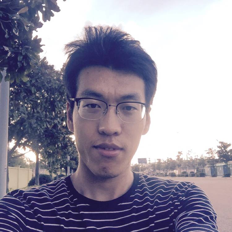 梧桐666的照片