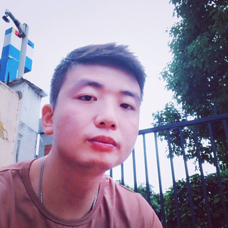 纯情月饼的照片