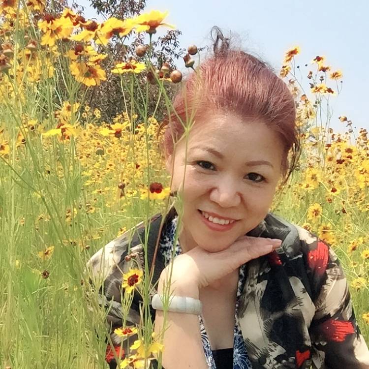 听话奇异果的照片