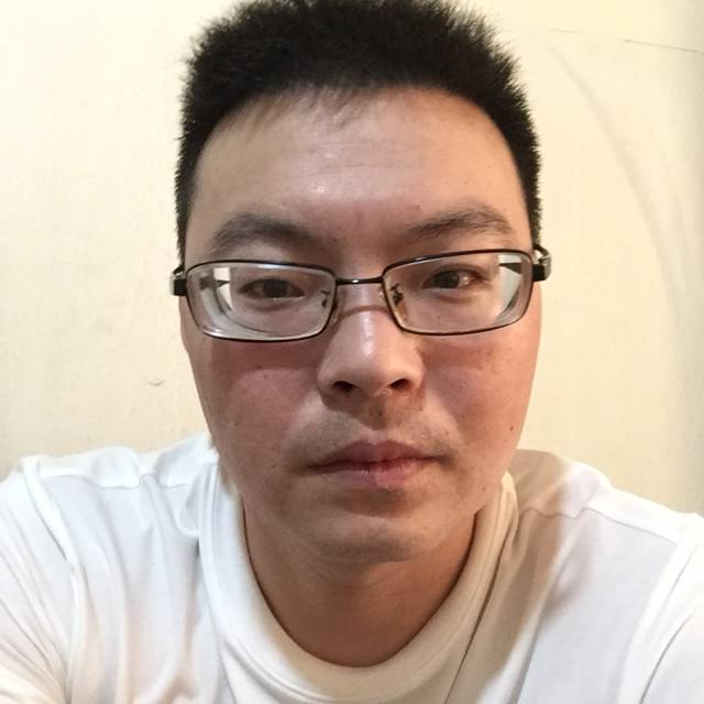落寂黄蜂的照片