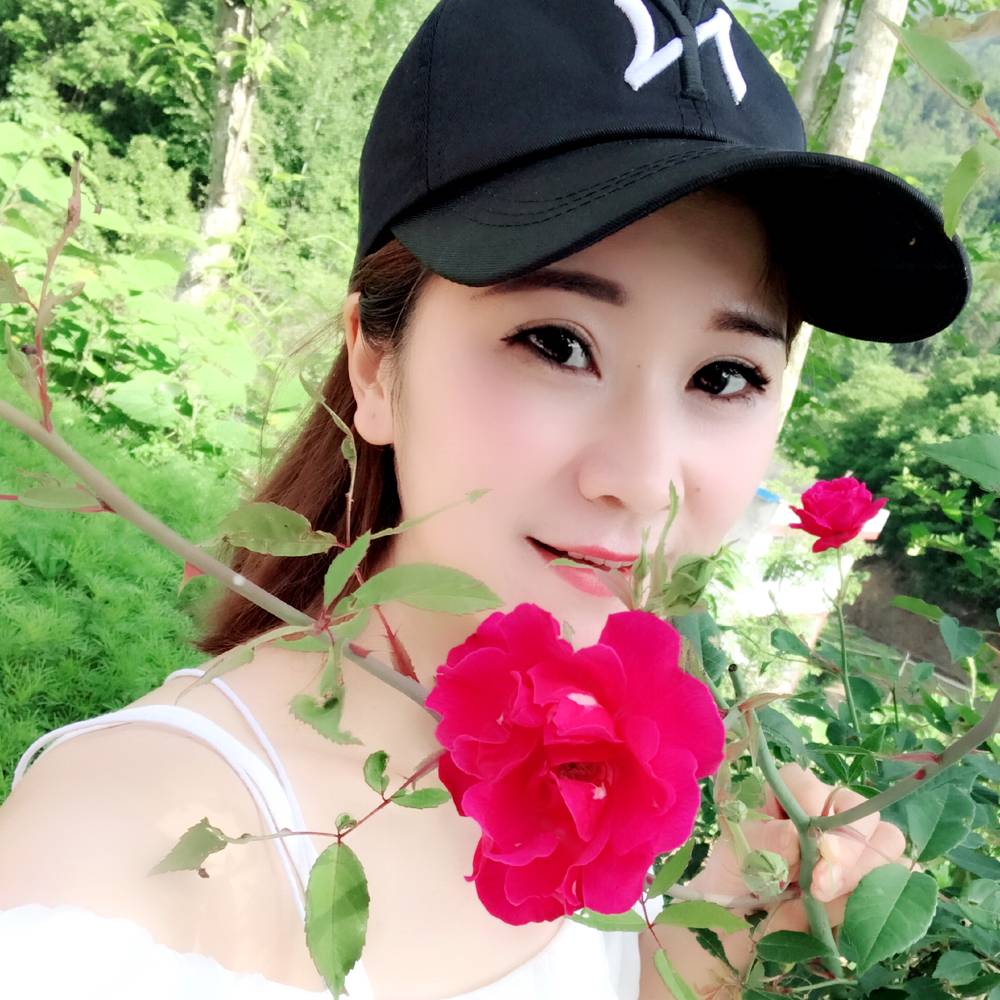 从容仙人掌的照片