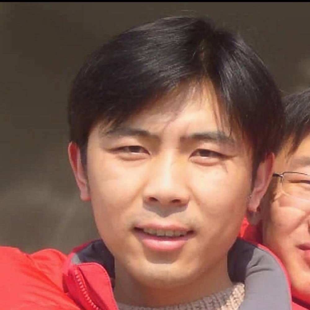 被追杀的蚊子的照片