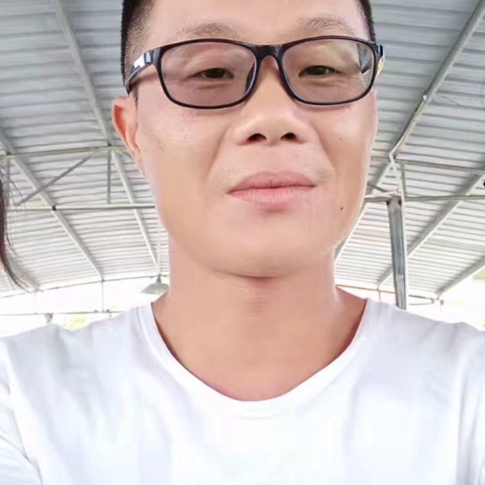 文艺情动的照片