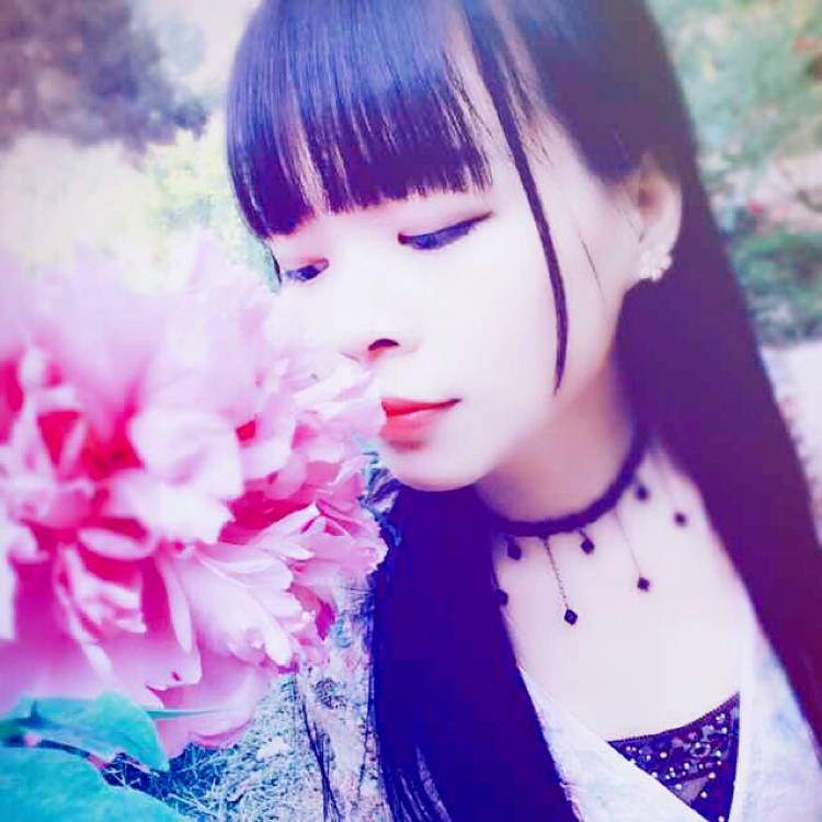 完美乌龟的照片