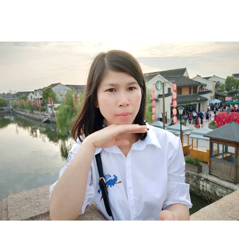 红玫瑰的照片