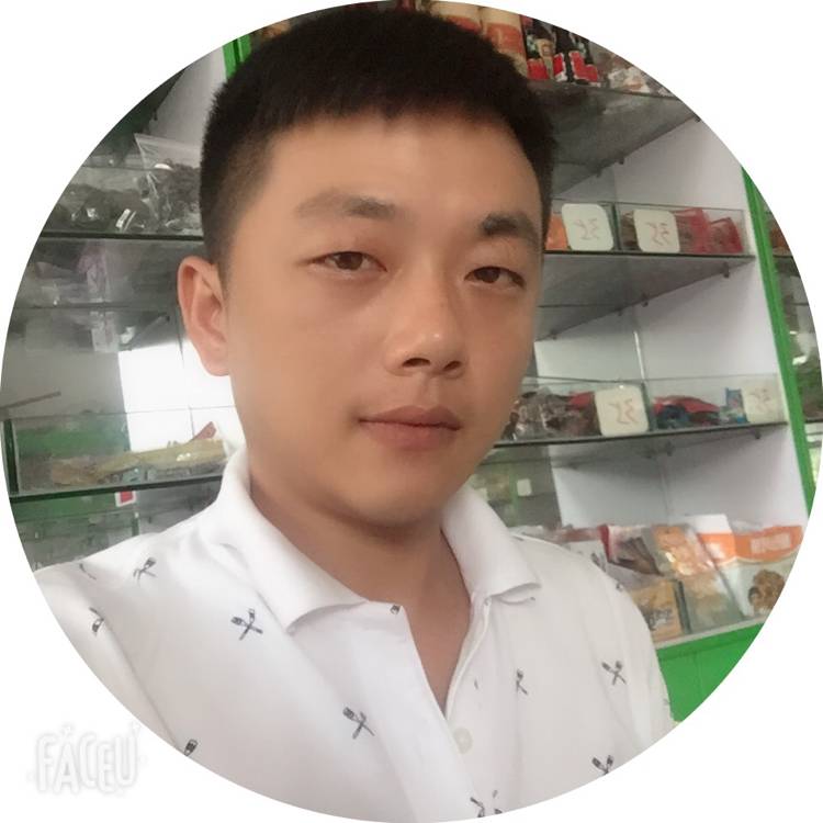傻傻小海豚的照片