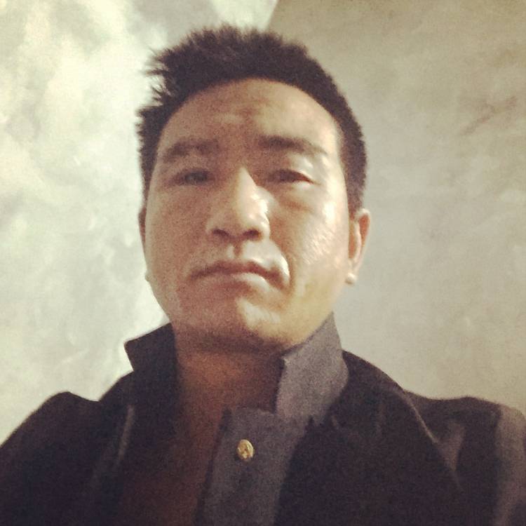 现代大树的照片
