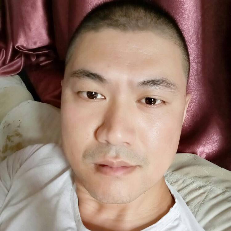 洁净黑米的照片