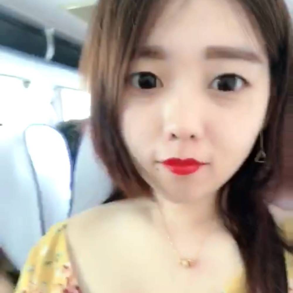 曾经猫咪的照片