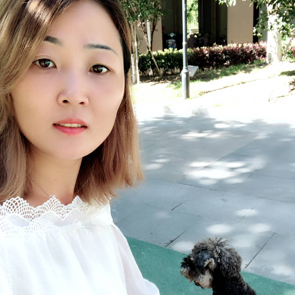 开放玫瑰的照片