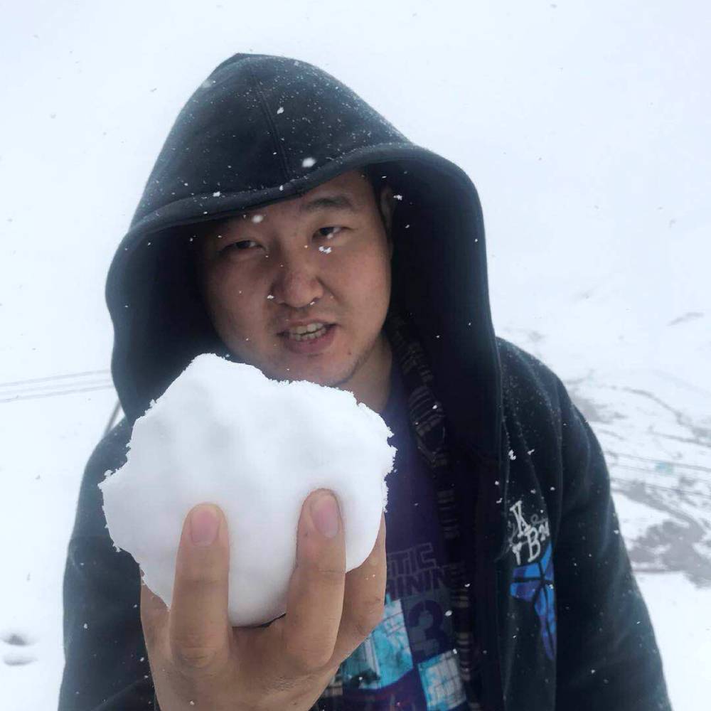 密集阵火箭炮的照片