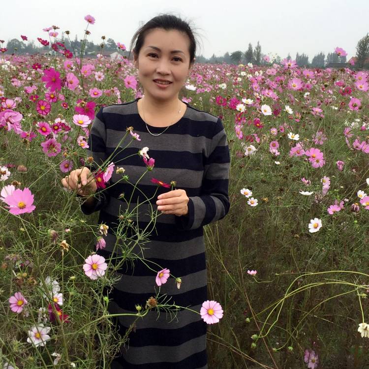 成就豆芽的照片