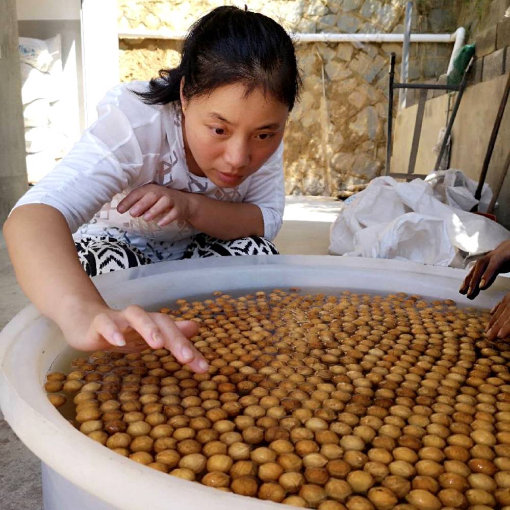 飘逸大山的照片