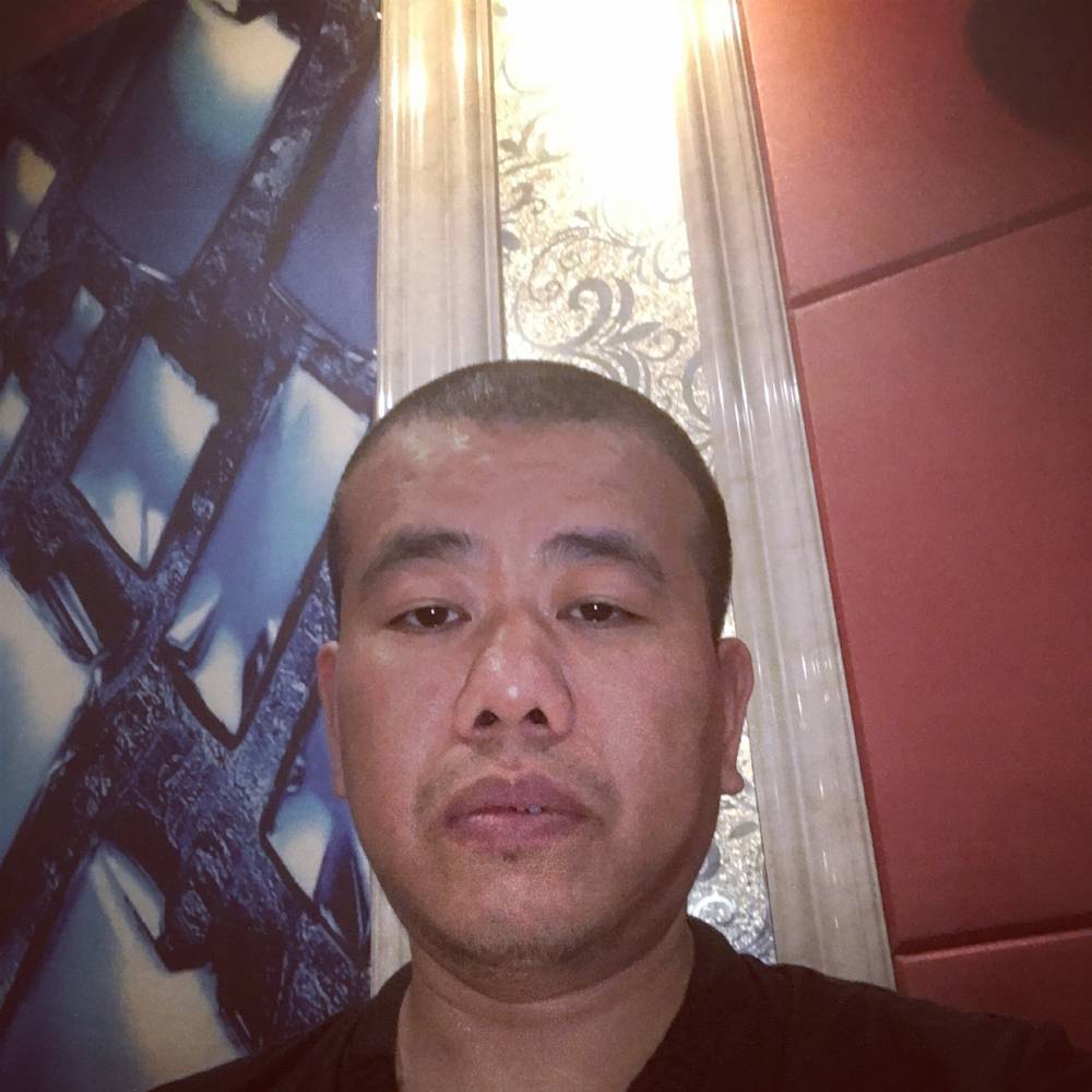 着急黄蜂的照片