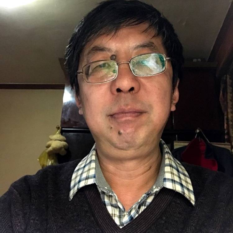 高高小懒猪的照片