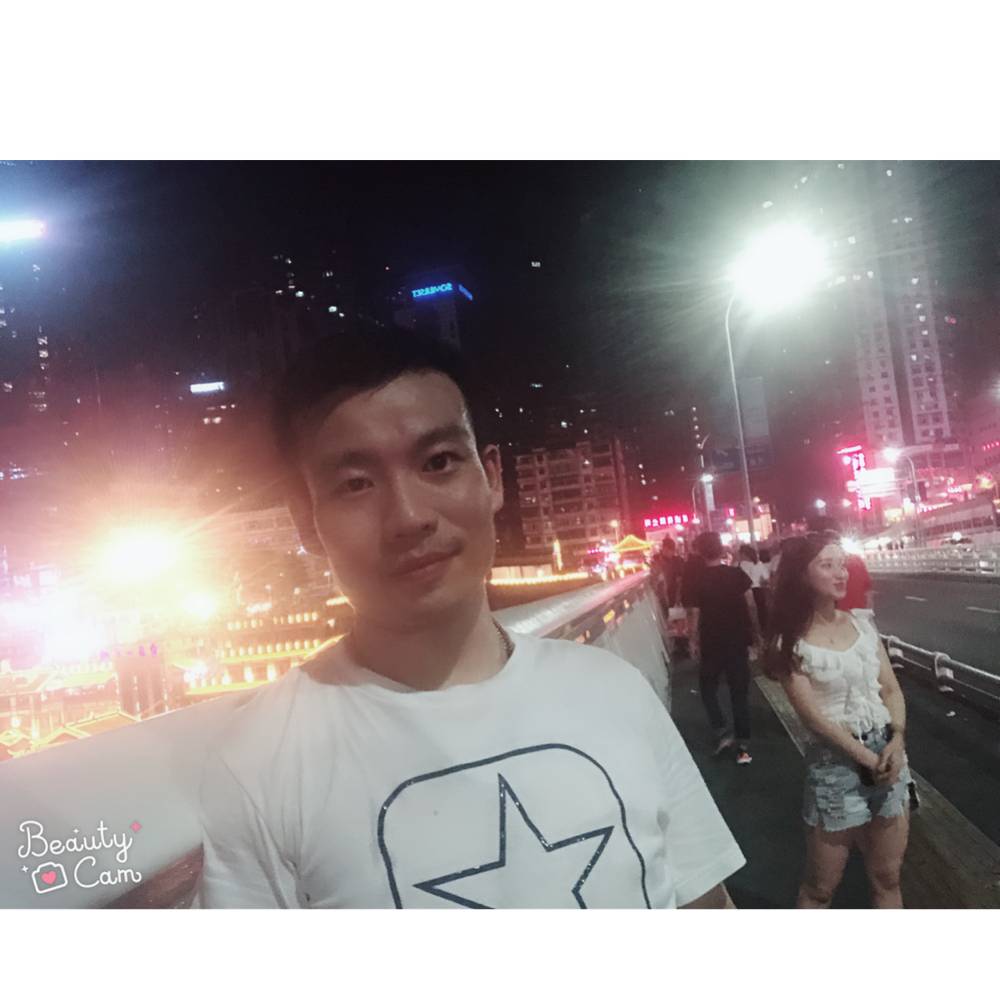 含蓄大象的照片