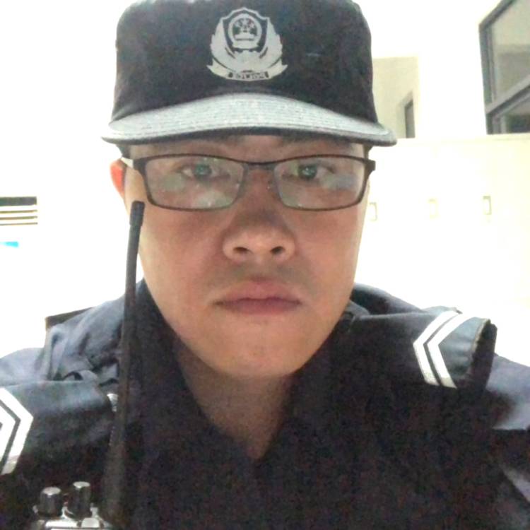自由海燕的照片