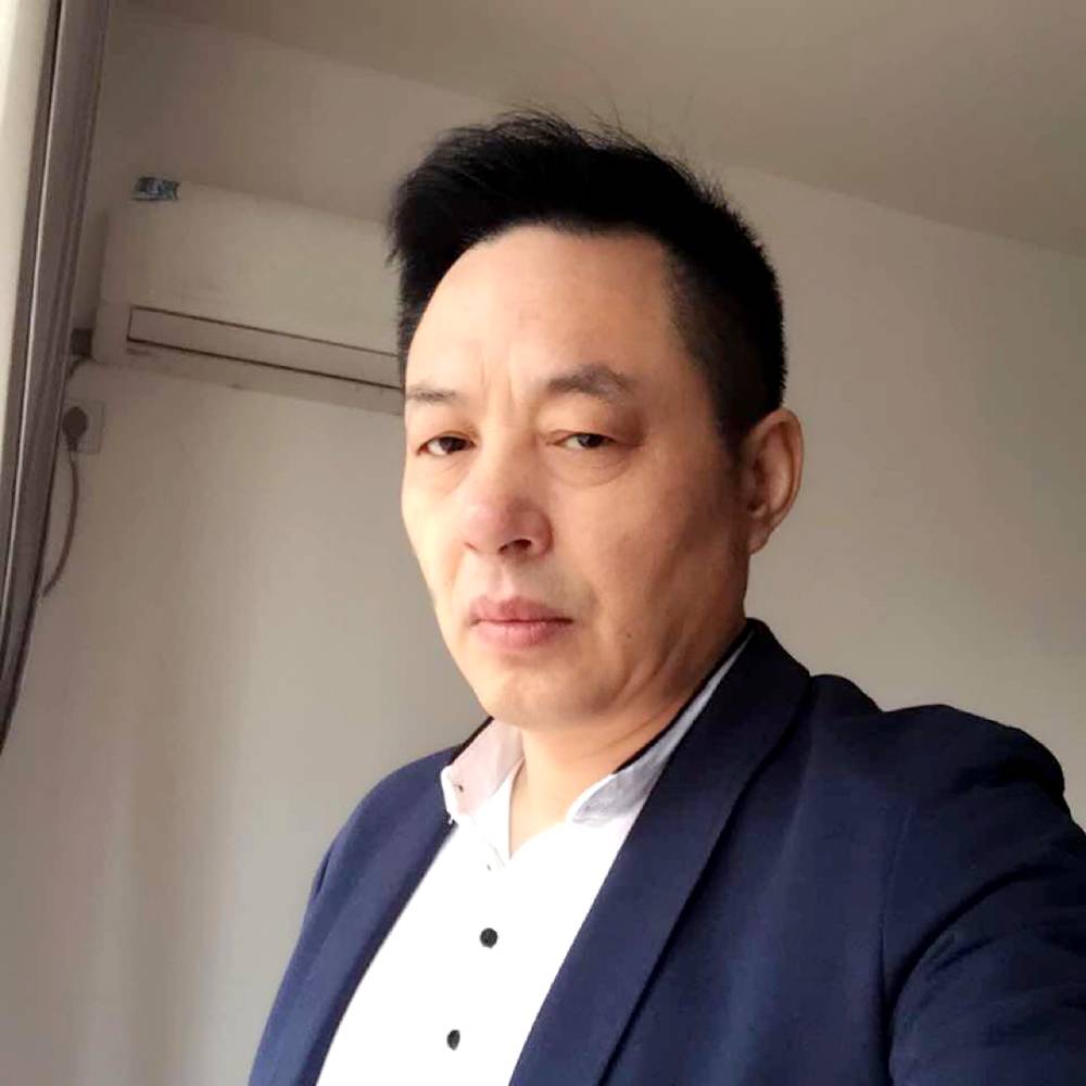 透彻大雁的照片