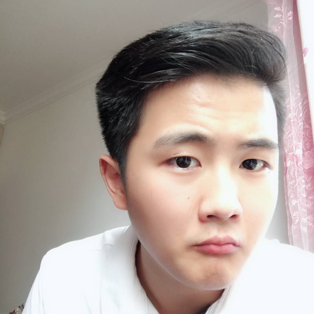 复杂飞鸟的照片