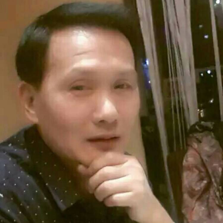 辛勤蜜粉的照片