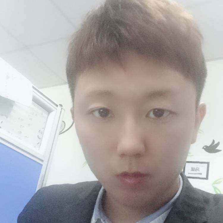迷茫树叶的照片