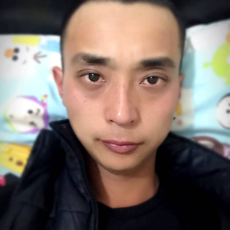 饱满惊鸿的照片