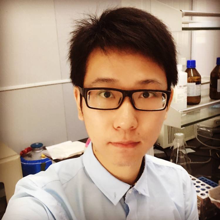 鱼肉汤的照片