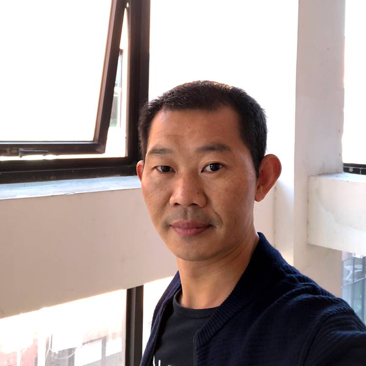 感性乌龟的照片