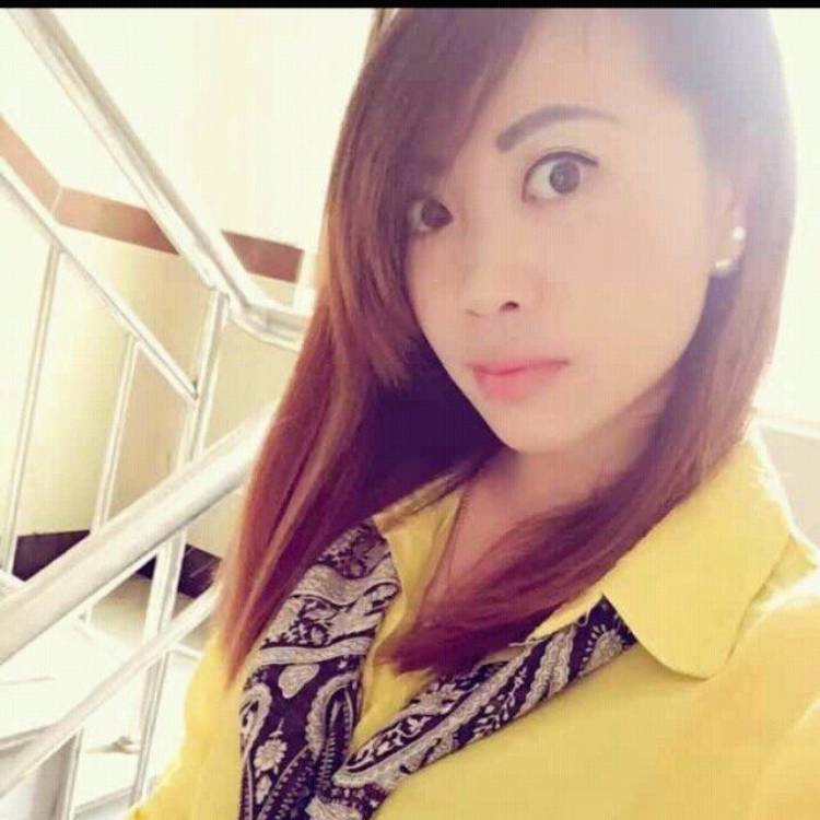 高贵向日葵的照片