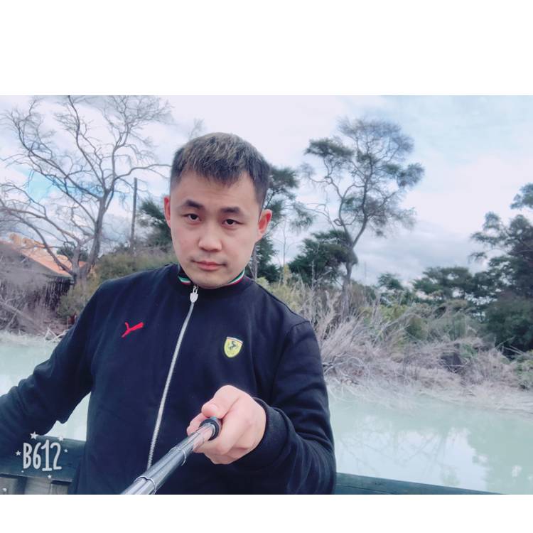 夏天的月亮的照片