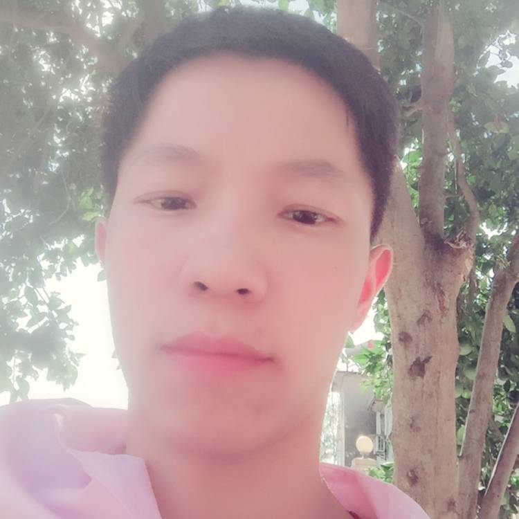 背后滑板的照片