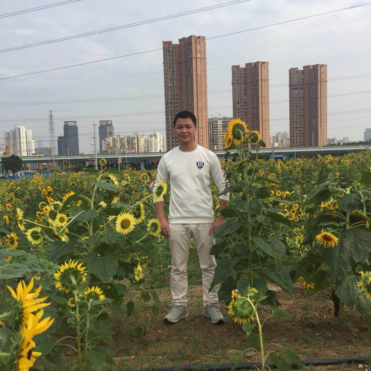 舒心幻殇的照片