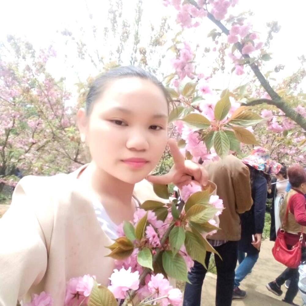坦率小兔子的照片
