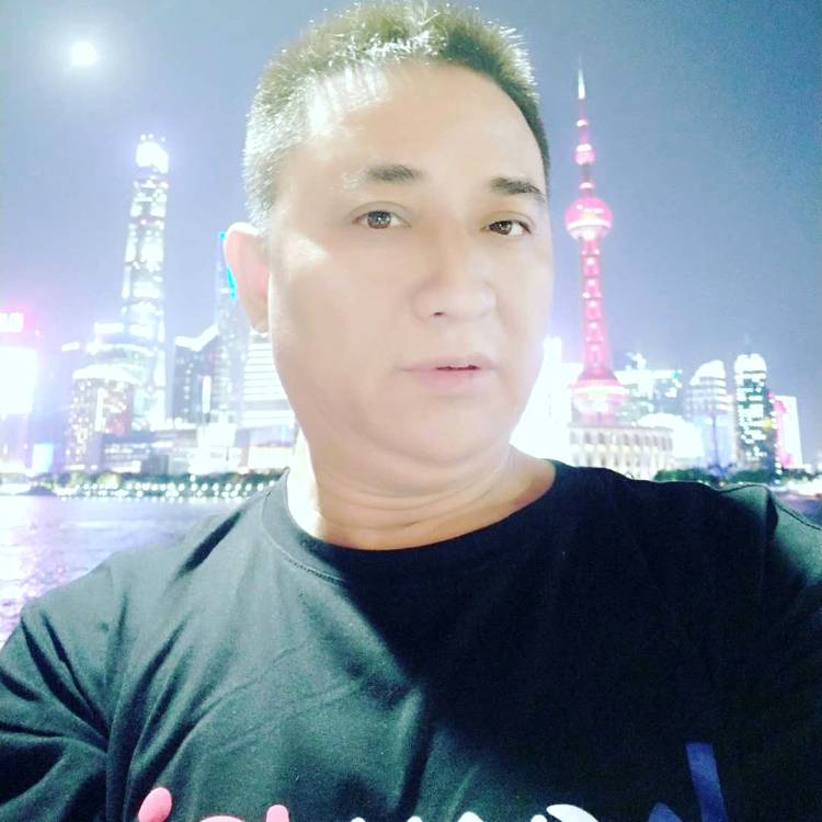 绚烂小刺猬的照片