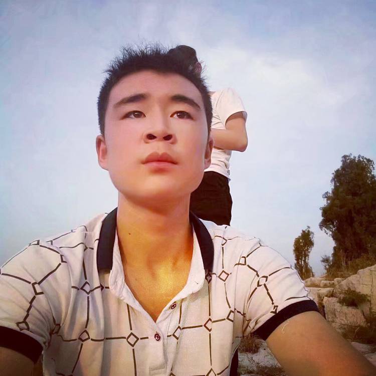 飘逸自行车的照片