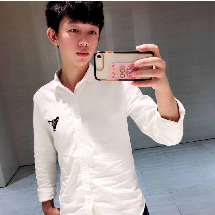 白银鹿的照片