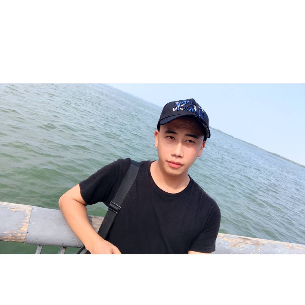 腼腆小蚂蚁的照片