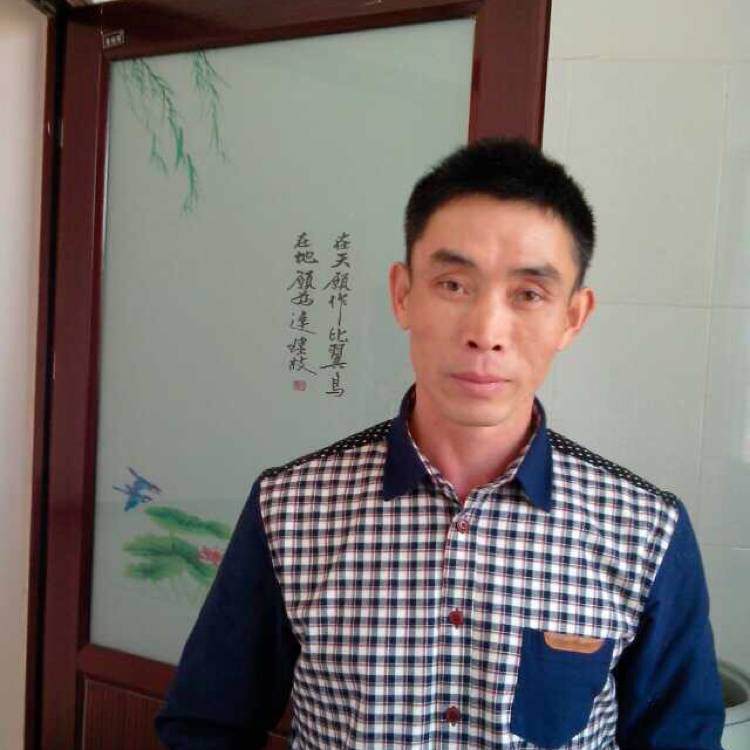 失眠纸鹤的照片
