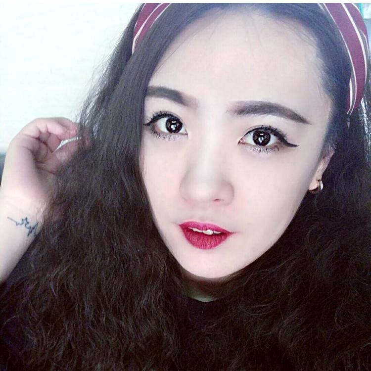 内向康乃馨的照片