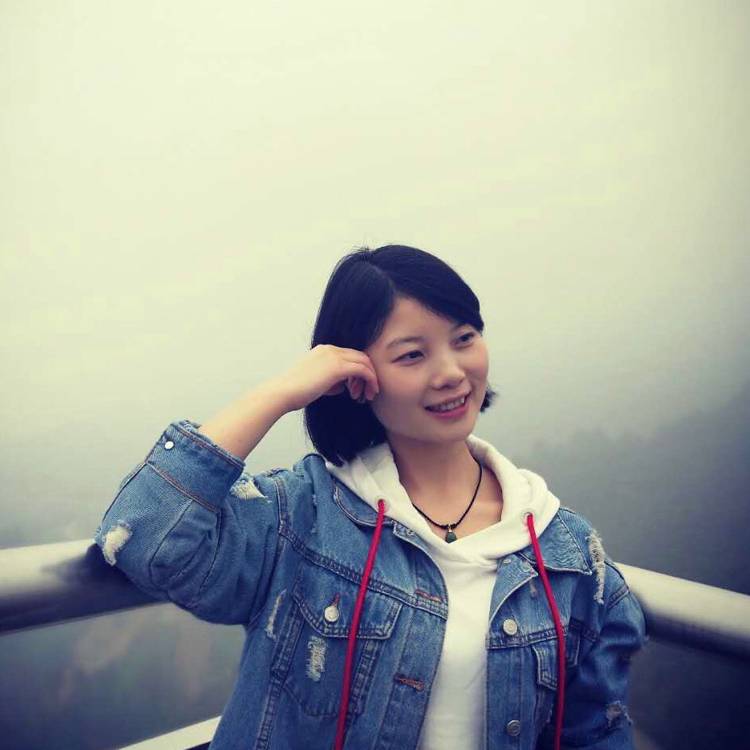 会撒娇向日葵的照片