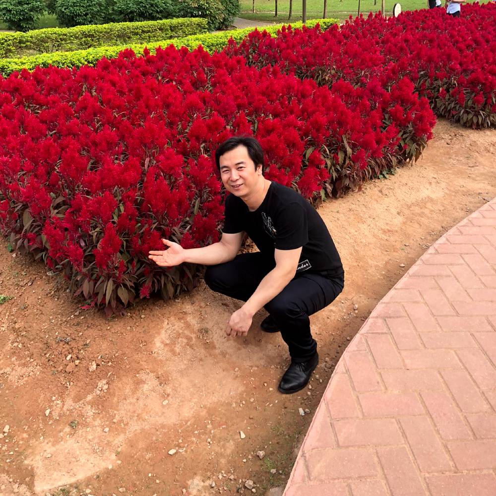 纯情小蜜蜂的照片