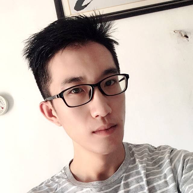 坚定飞鸟的照片