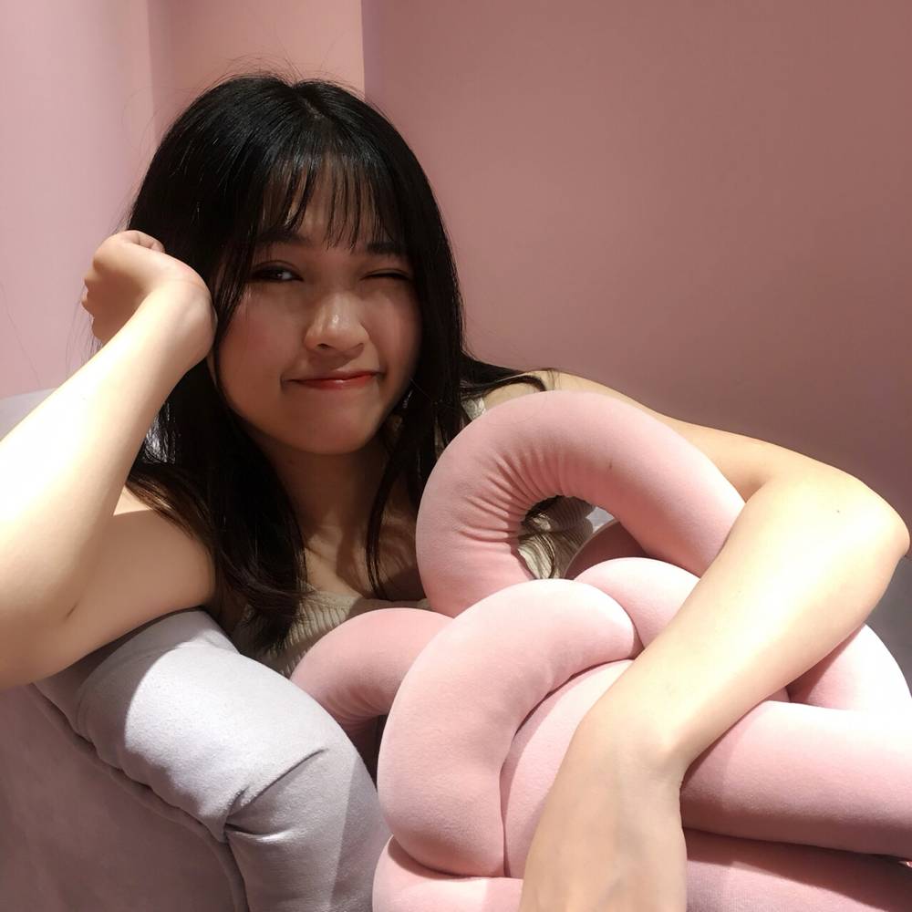 貓li的照片