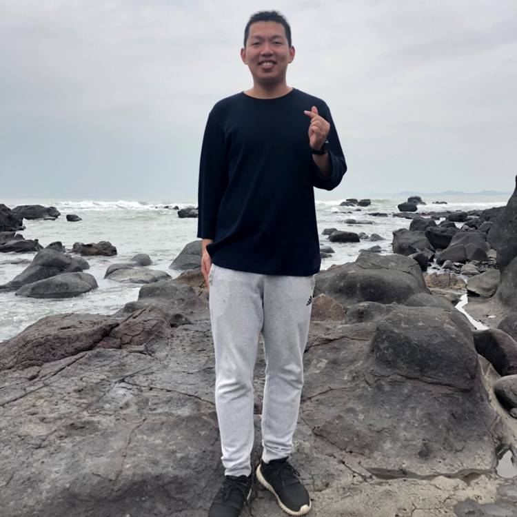 平常长颈鹿的照片