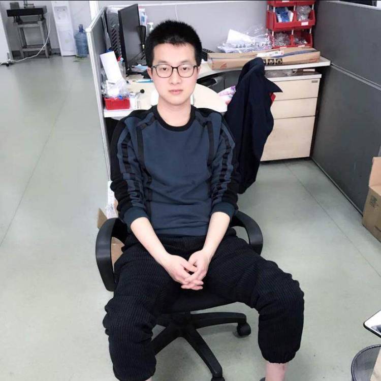 森林深处一只的照片