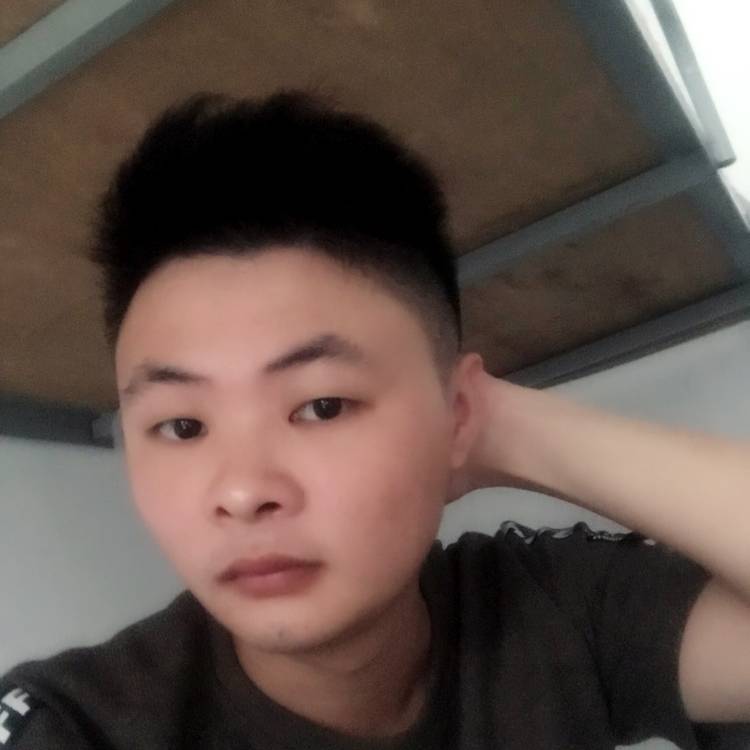 健壮小懒猪的照片