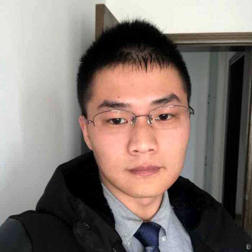 闪闪泥猴桃的照片