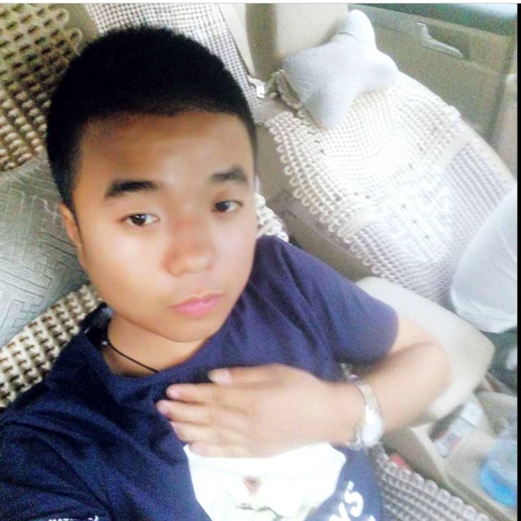 主动无感的照片