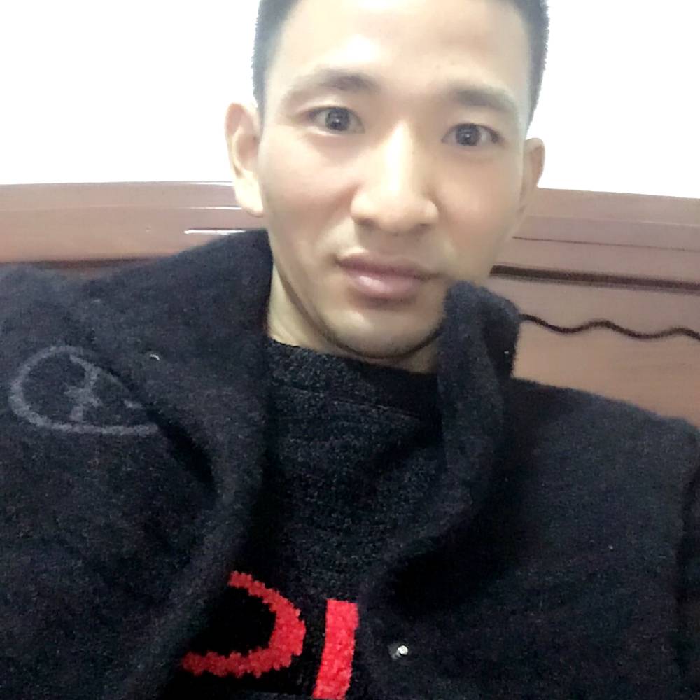懦弱大树的照片